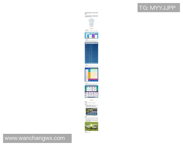 上海网球队在欧锦赛中的表现分析与状态评估